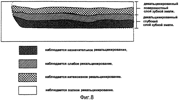 Ускоритель рекальцинирования зубной эмали, композиция для ухода за полостью рта и содержащие его пищевой продукт или напиток (патент 2396969)