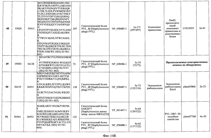 Бактериофаг, обладающий активностью против pseudomonas aeruginosa, белки бактериофага и способы их применения (патент 2580248)