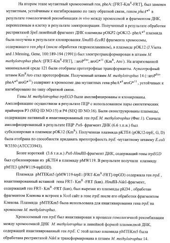 Способ придания бактерии, принадлежащей к роду methylophilus, ауксотрофности по l-аминокислоте, бактерия, принадлежащая к роду methylophilus, и способ продукции l-аминокислоты (патент 2395569)