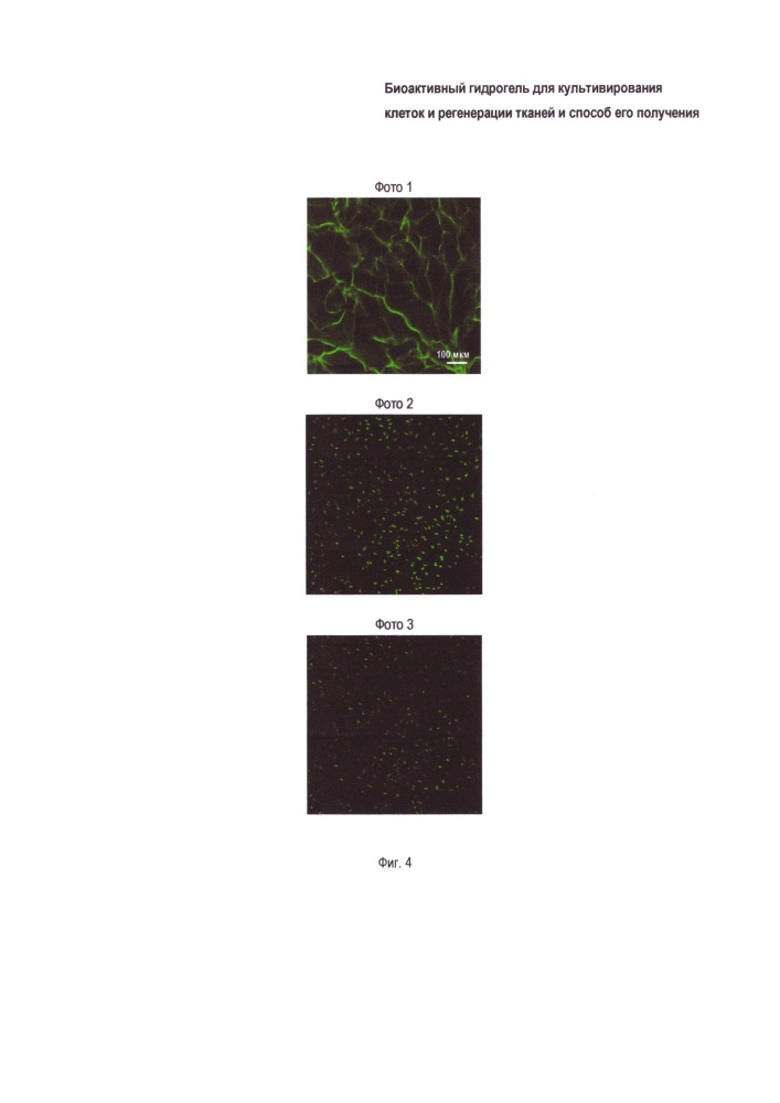 Биоактивный гидрогель для регенерации кожи (патент 2659383)