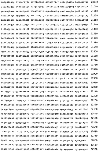 Применение s1p (патент 2362565)