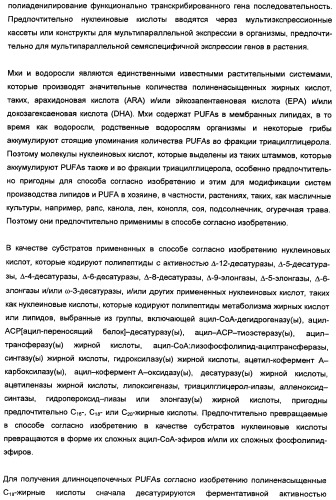 Способ получения полиненасыщенных кислот жирного ряда в трансгенных организмах (патент 2447147)