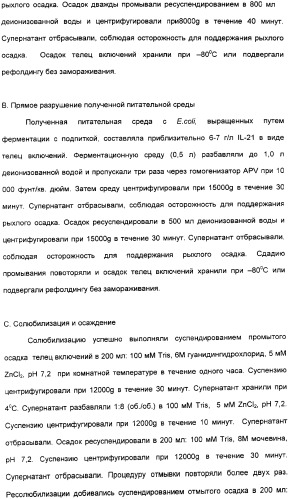 Продуцирование il-21 в прокариотических клетках-хозяевах (патент 2354703)