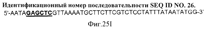 Иммуногенный эпитоп вируса гриппа (патент 2546872)