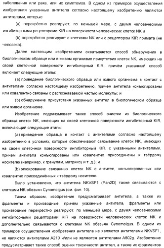 Антитела, связывающиеся с рецепторами kir2dl1,-2,-3 и не связывающиеся с рецептором kir2ds4, и их терапевтическое применение (патент 2410396)