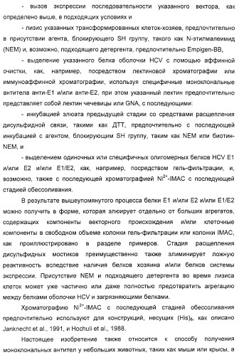 Очищенные белки оболочки вируса гепатита с для диагностического и терапевтического применения (патент 2313363)