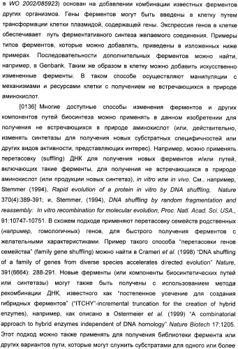 Генетически кодируемые флюоресцентные кумариновые аминокислоты (патент 2473690)