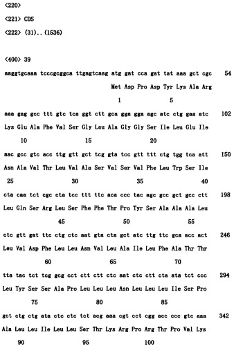 Ген синтеза клеточной стенки грибков (патент 2286387)