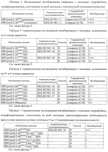Гидрофобные, модифицированные, полученные из pres вируса гепатита в (hbv) пептиды и их использование в качестве ингибиторов проникновения hbv и hdv (патент 2492182)