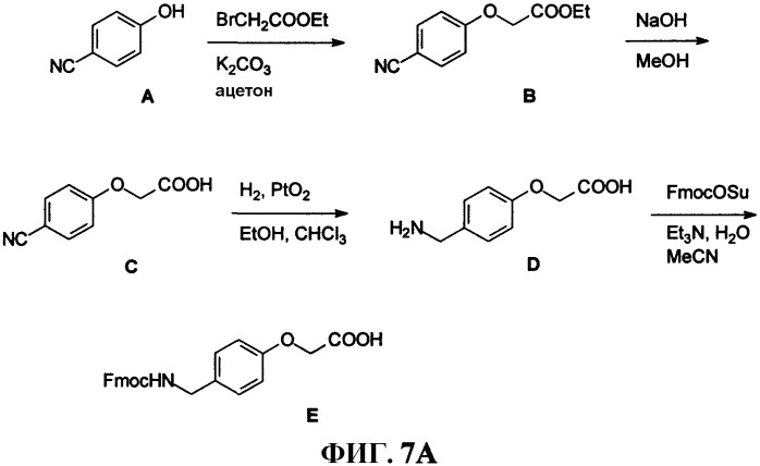 Усовершенствованные пептидные соединения, высвобождающие гастрин (патент 2330859)