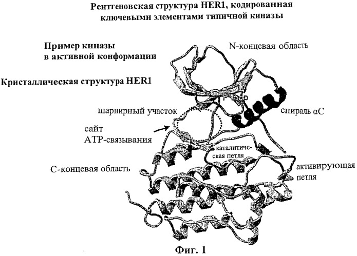 Пирролотриазиновые соединения как ингибиторы киназ (патент 2373209)