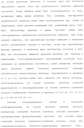 Антитела, сконструированные на основе цистеинов, и их конъюгаты (патент 2412947)