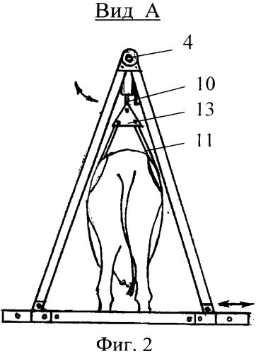 Станок для фиксации и подъема животных (патент 2560630)