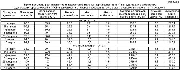 Cпособ доращивания in vitro растений ягодных и декоративных кустарников в нестерильных условиях (патент 2366153)