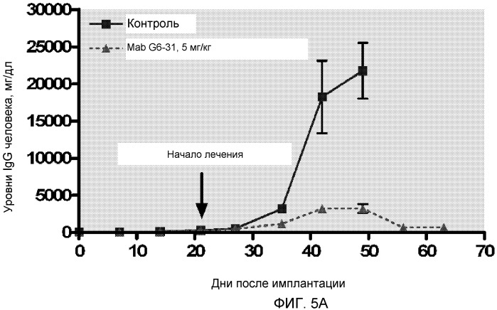 Композиции и способы для лечения опухоли (патент 2482877)