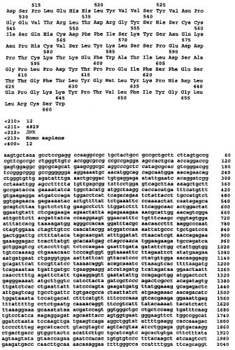 Ген новой сериновой протеазы, родственной dppiv (патент 2305133)
