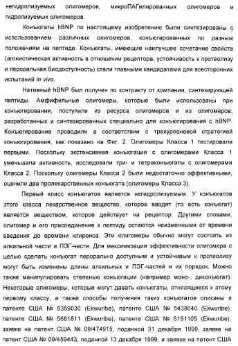 Натрийуретические соединения, конъюгаты и их применение (патент 2388765)