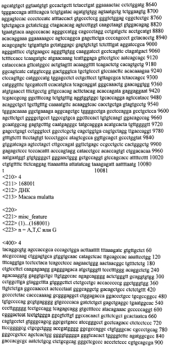Модуляция экспрессии гентингтина (патент 2562861)