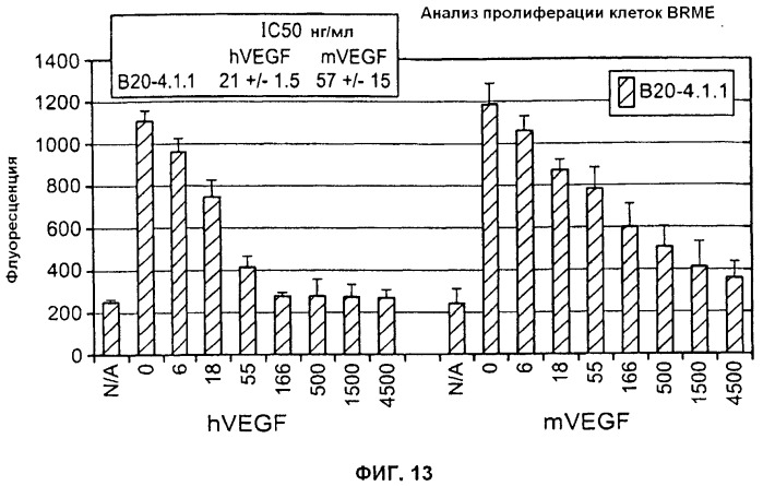 Антитела против фактора роста эндотелия сосудов (vegf) (патент 2514148)