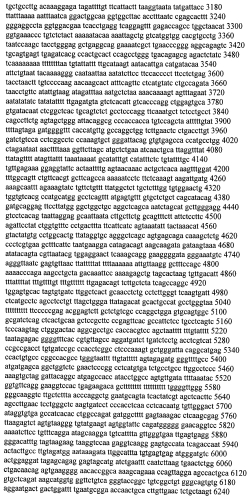 Модуляция экспрессии гентингтина (патент 2562861)