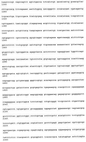 Антитела к рецептору конечных продуктов глубокого гликирования (rage) и их применения (патент 2518351)