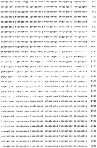 Композиция для лечения инфекции вирусом гепатита в (патент 2555346)