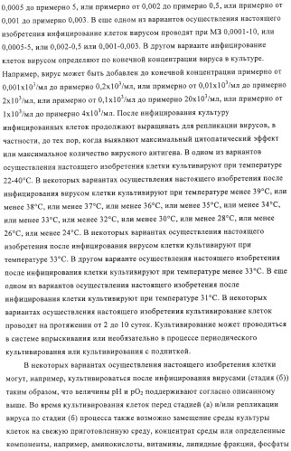 Линии клеток почки собаки майдин-дэрби (mdck), поддерживающие рост вирусов до высоких титров, и способ применения этих клеток в биореакторе (патент 2487935)