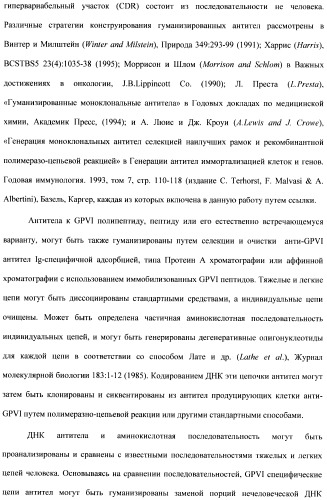 Антитела к гликопротеину vi и способы продуцирования и использования этих антител (патент 2407752)
