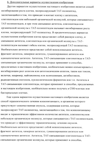 Композиции и способы диагностики и лечения опухоли (патент 2423382)