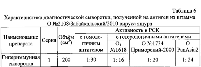 Штамм o №2108/забайкальский/2010 вируса ящура aphtae epizooticae типа о для изготовления биопрепаратов для диагностики ящура типа о (патент 2575801)