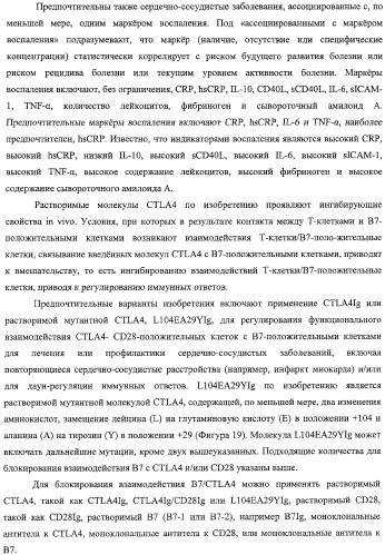 Способ лечения сердечно-сосудистого заболевания с применением растворимого ctla4 (патент 2353384)