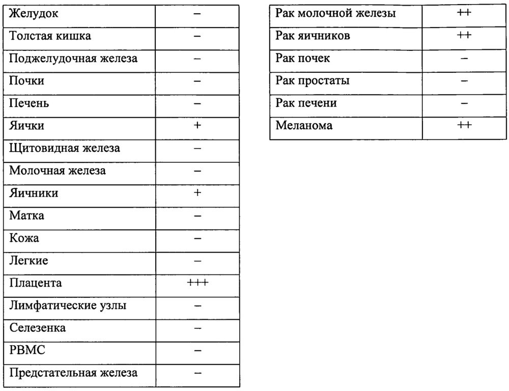 Идентификация опухолеассоциированных антигенов для диагностики и терапии (патент 2644686)
