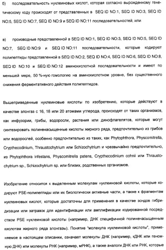 Новый ген элонгазы и способ получения полиненасыщенных кислот жирного ряда (патент 2311457)