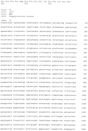 Стабильные иммуногенные композиции антигенов staphylococcus aureus (патент 2570730)