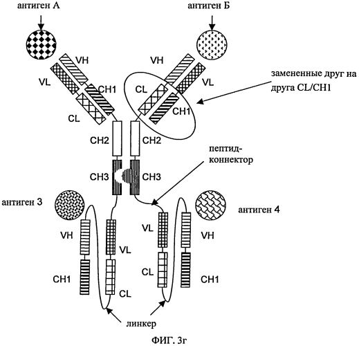 Три- или тетраспецифические антитела (патент 2570633)