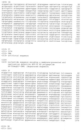 Полипептиды е2 папилломавируса, применяемые для вакцинации (патент 2482189)
