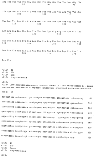 Мутеины липокалина 2 человека (lcn2, hngal) с аффинностью для определенной мишени (патент 2564125)