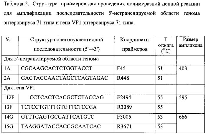 Штамм энтеровируса а71 типа субгенотипа с4, используемый для диагностики и изучения эффективности лечебно-профилактических и вакцинных препаратов (патент 2565811)