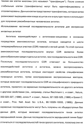 Человеческие моноклональные антитела к рецептору эпидермального фактора роста (egfr), способ их получения и их использование, гибридома, трансфектома, трансгенное животное, экспрессионный вектор (патент 2335507)