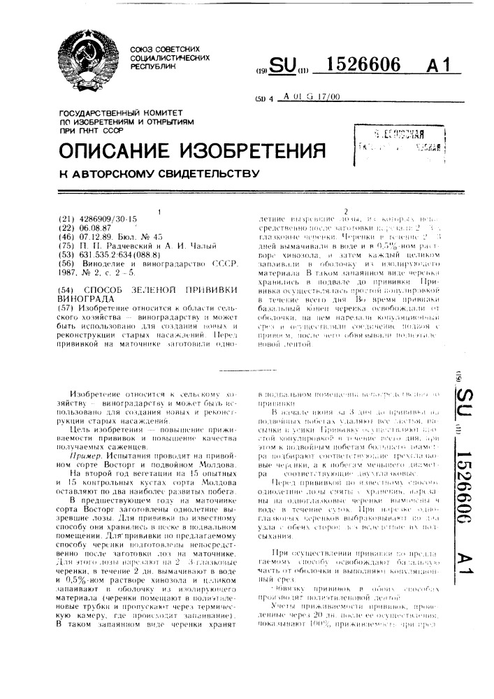 Способ зеленой прививки винограда (патент 1526606)