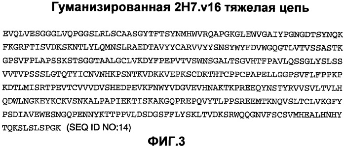 Способ лечения волчанки (патент 2396980)