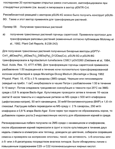 Способ получения полиненасыщенных жирных кислот в трансгенных растениях (патент 2449007)