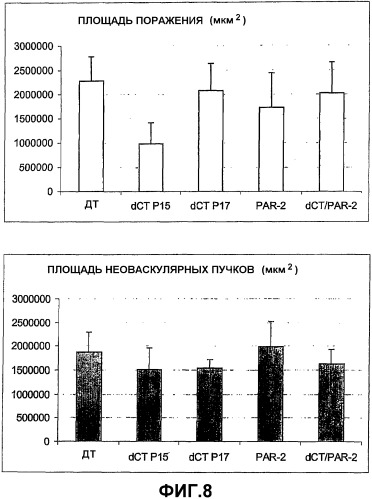 Способ модулирования васкуляризации (патент 2378006)