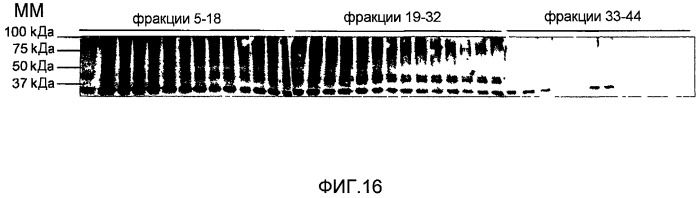 Микровезикулы, полученные из рекомбинантных дрожжей, обладающие гемостатическими активностями, и их применение (патент 2492184)