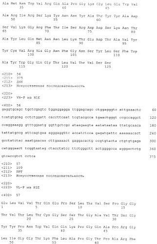 Pscaxcd3, cd19xcd3, c-metxcd3, эндосиалинxcd3, epcamxcd3, igf-1rxcd3 или fap-альфаxcd3 биспецифическое одноцепочечное антитело с межвидовой специфичностью (патент 2547600)