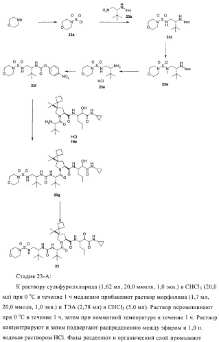 Ингибиторы hcv/вич и их применение (патент 2448976)