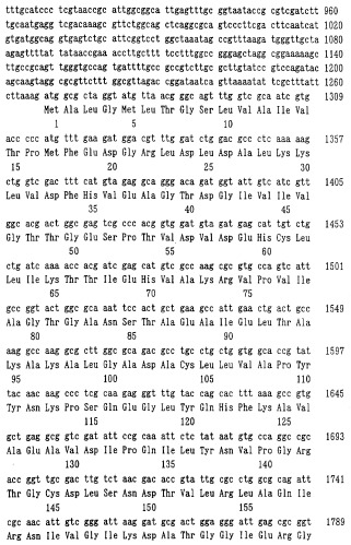 Способ получения l-аминокислоты (патент 2250266)