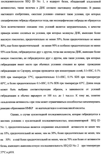 Новая альдолаза, днк, кодирующая альдолазу, клетки, трансформированные днк, способ получения альдолазы и способ получения 4-гидрокси-l-изолейцина (варианты) (патент 2338784)