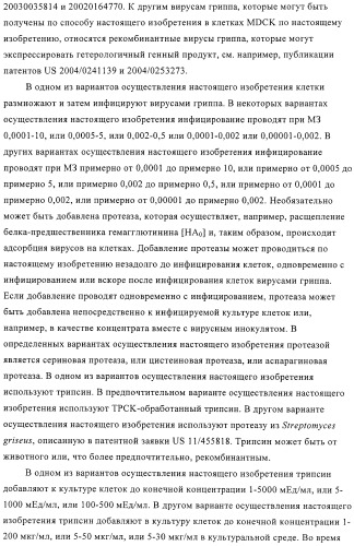 Линии клеток почки собаки майдин-дэрби (mdck), поддерживающие рост вирусов до высоких титров, и способ применения этих клеток в биореакторе (патент 2487935)