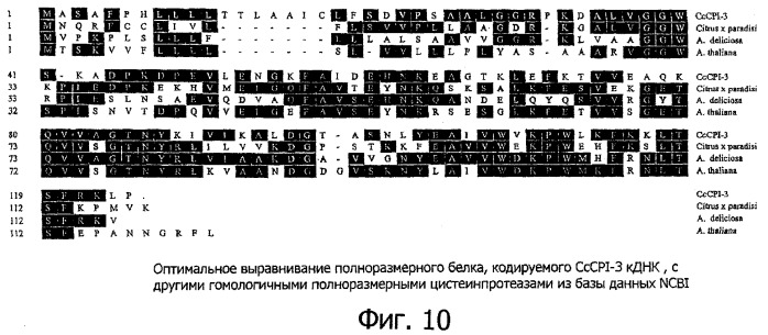 Модуляция уровня предшественников аромата кофе в сырых (необжаренных) кофейных зернах (патент 2348693)